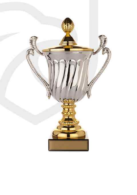 trophy_overlay_02 https://svrangau.de/wp-content/uploads/2022/11/trophy_overlay_02.jpg